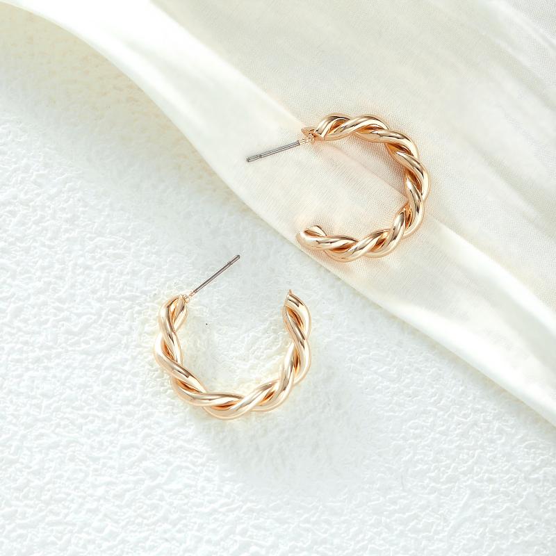 Twisted Ring - Shaped Iron Earrings